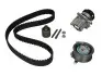 Комплект ГРМ + помпа VW Caddy III 07-10-/Golf IV/V 00-11/Passat 1.9T/2.0 TDI 00-09 (120x30) HEPU PK05500