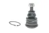 Кульова опора (шарнір) KAVO PARTS SBJ-5501