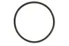 Кільце ущільнююче 56 X 2,75MM N13 BMW 11667566483