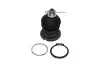 Кульова опора (шарнір) KAVO PARTS SBJ-2002 SBJ2002
