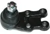 Несущий / направляющий шарнир KAVO PARTS SBJ3021
