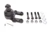 Кульова опора (шарнір) KAVO PARTS SBJ-6502