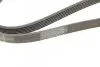 Ремень генератора Peugeot 206/Partner/Citroen Berlingo 1.1-1.6 02-/VW Fox/Polo 1.2 02-14 (6PK1453) 1 987 945 728 BOSCH 1987945728 (фото 4)