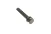 Водяний насос + комплект зубчастого реміня VKMC 01244 SKF VKMC01244 (фото 11)