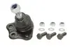 Шарова опора,передня вісь MAGNETI MARELLI 301181311940