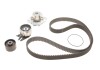 Комплект (ремінь+ролик+помпа) SKF VKMC02194 VKMC02194