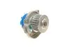 Водяний насос + комплект зубчатого ременя VKMC 02206 SKF VKMC02206 (фото 6)
