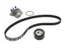 + комплект зубчатого ремня SKF VKMC03253 VKMC03253