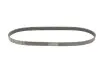 Ремінь генератора поліклиновий CONTINENTAL 6PK1090 ELAST Contitech 6PK1090ELAST (фото 2)