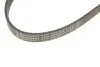 Ремінь генератора поліклиновий CONTINENTAL 6PK1090 ELAST Contitech 6PK1090ELAST (фото 4)