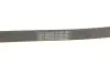 Ремінь генератора поліклиновий CONTINENTAL 6PK1090 ELAST Contitech 6PK1090ELAST (фото 5)
