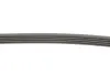 Поликлиновой ремень Contitech 5PK898ELAST (фото 3)