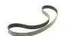 Комплект ременя генератора Renault Megane/Scenic 1.9 dCi/2.0 16V 03- (7PK1125) 529 0088 10 INA 529008810 (фото 4)