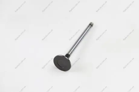 Клапан випуск. ACCENT/RIO/CERATO 1.4/1.6i 02- BGA V991804