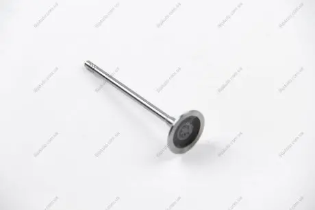 Впускной клапан BGA V591701