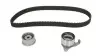 Комплект ремня ГРМ SKF VKMA91400