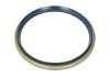 Уплотняющее кольцо, ступица колеса CORTECO 12017138B