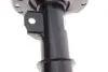 Амортизатор підвіски 22-257574 BILSTEIN 22257574 (фото 5)