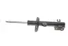 Амортизатор, передняя ось BILSTEIN 22260949