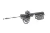 Амортизатор, передняя ось BILSTEIN 22263780