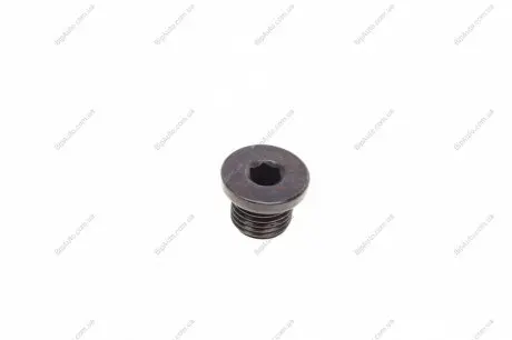 Пробка піддону FA1 257.807.001 Fischer Automotive One (FA1) 257807001