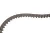 Комплект ГРМ Citroen Berlingo 1.4i 96-11 1 987 946 578 BOSCH 1987946578 (фото 6)