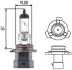 Лампа розжарювання, основна фара HELLA 8GH005636201