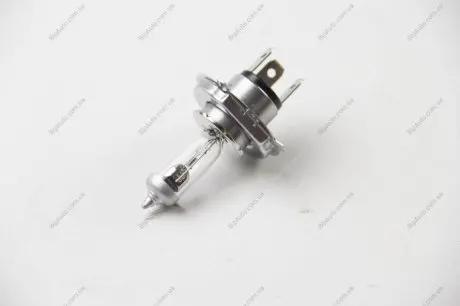 Лампа розжарювання, основна фара HELLA 8GJ002525481
