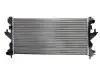 Основной радиатор (двигателя) THERMOTEC D7P063TT