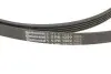 Поликлиновой ременный комплект Contitech 5PK1300K1 (фото 3)
