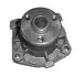 Водяний насос MAGNETI MARELLI 352316170288