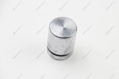 Поршень, корпус скобы тормоза SEINSA AUTOFREN D025335