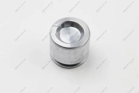 Поршень, корпус скобы тормоза SEINSA AUTOFREN D025390