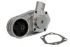 Водяной насос MAGNETI MARELLI 352316171029