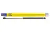 Газовая пружина, крышка багажник MAGNETI MARELLI 430719078700 (фото 1)