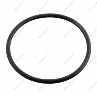 Фото 1 - прокладка, термостат SWAG 20220004 Прокладка, термостат SWAG 20220004 (фото 1)