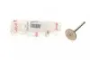 Клапан (впуск) AMP PVWG029-S-0-N PVWG029S0N
