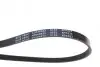 Ремінь генератора поліклиновий BLUE PRINT AD04R823 (фото 2)