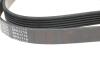 Ремінь генератора VW LT 2.5TDI -06/T4 2.5 91-03/Ford Connect 1.8 TDCi 02-07/ Opel Astra 1.7 07- BLUE PRINT AD06R1718 (фото 3)