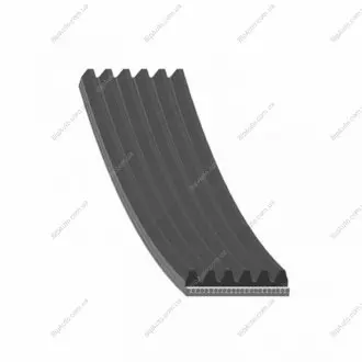 Фото 1 - полікліновий ремінь BLUE PRINT AD06R2556 Полікліновий ремінь BLUE PRINT AD06R2556 (фото 1)