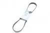 Ремінь генератора Citroen Berlingo/VW Golf III 1.4-2.0i 91-/ Ford Fiesta/ Focus 1.4-1.6 TDCi 03- BLUE PRINT AD06R975