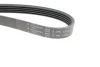 Поликлиновой ремень HUTCHINSON 1253K5 (фото 3)