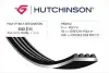 Полікліновий ремінь HUTCHINSON 682K5