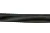 Ремінь генератора 6PK948 Golf V/Audi A3 2.0TDI 03> (-AC)/Jumper/Ducato 2.8HDI 00 946 K 6 HUTCHINSON 946K6 (фото 3)