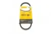 Ремінь генератора клиновий CONTINENTAL 11,0X528Ld