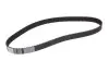 Ремень ГРМ CONTITECH CT929