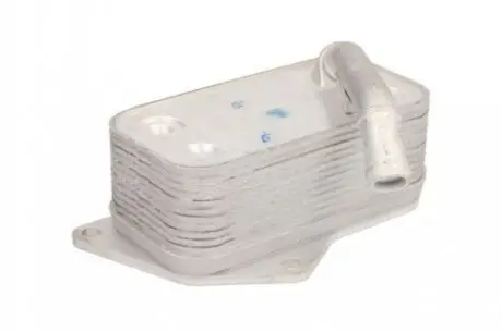 Масляный радиатор THERMOTEC D4B004TT