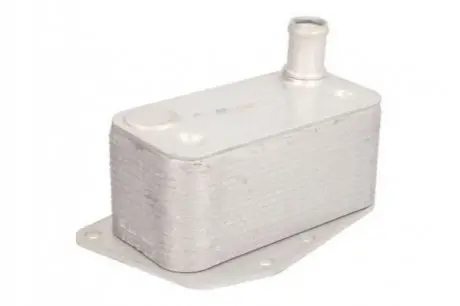 Масляный радиатор THERMOTEC D4B009TT