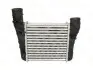 Интеркулер THERMOTEC DAA003TT (фото 1)