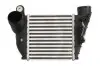 Інтеркулер THERMOTEC DAA008TT